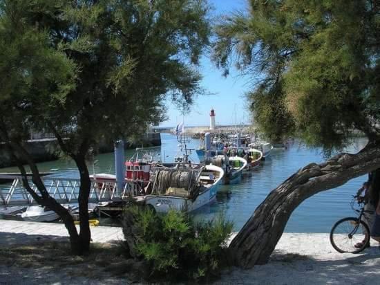 Camping A La Cotiniere-Piscine-Bungalow Cosy Entre Ocean Et Pinede Εξωτερικό φωτογραφία